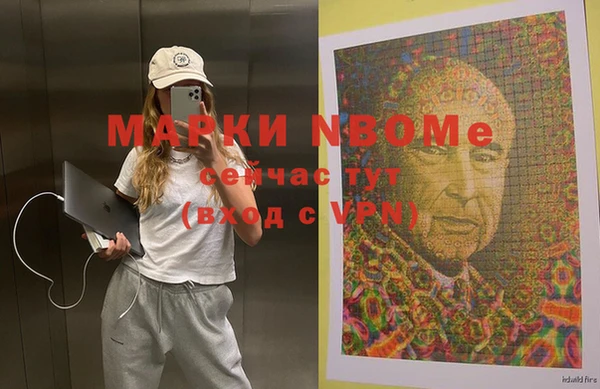 кокс Алексин