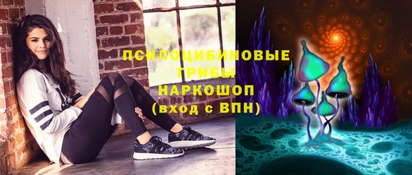 МДПВ Алзамай