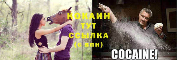 кокс Алексин
