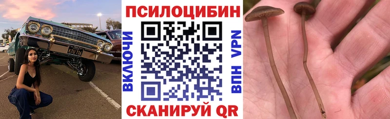 даркнет сайт  Апрелевка  Галлюциногенные грибы Psilocybe 